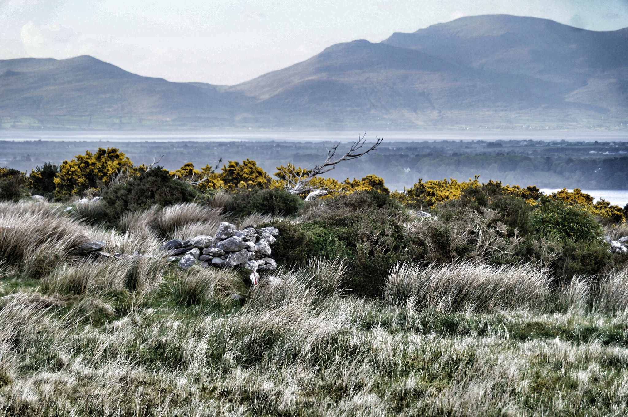 Sony SLT-A57 sample photo. Beautiful ireland (1) photography