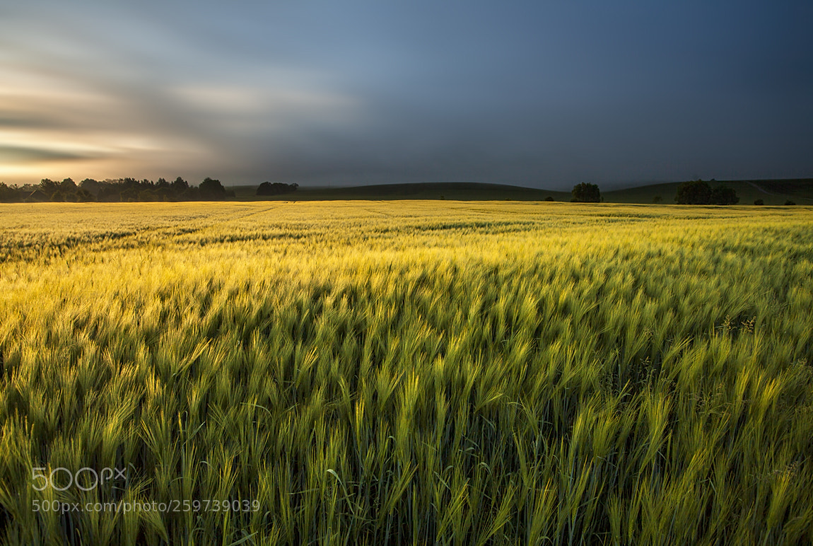 Canon EOS 5D Mark II sample photo. Morning photography