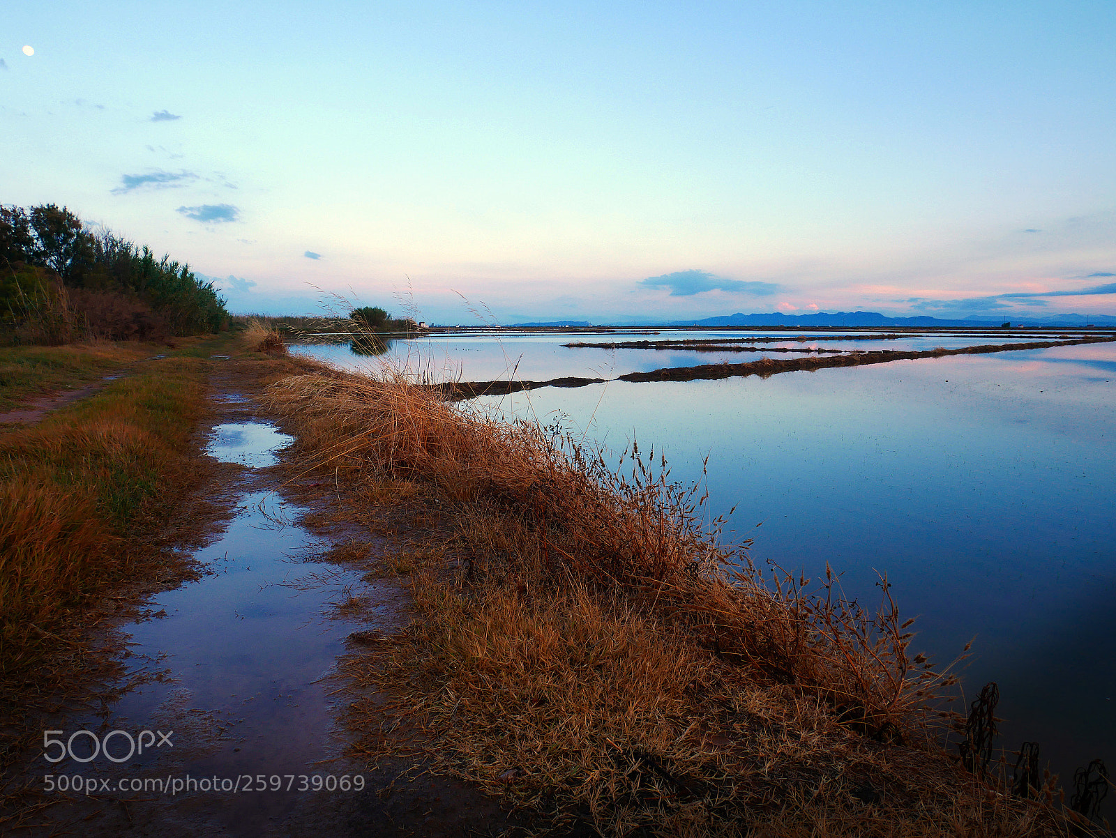 Panasonic Lumix DMC-GX85 (Lumix DMC-GX80 / Lumix DMC-GX7 Mark II) sample photo. Camino photography