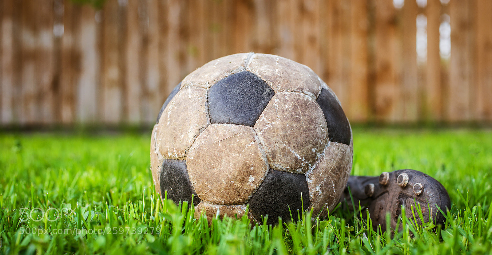 Nikon D800 sample photo. Old ball to play photography