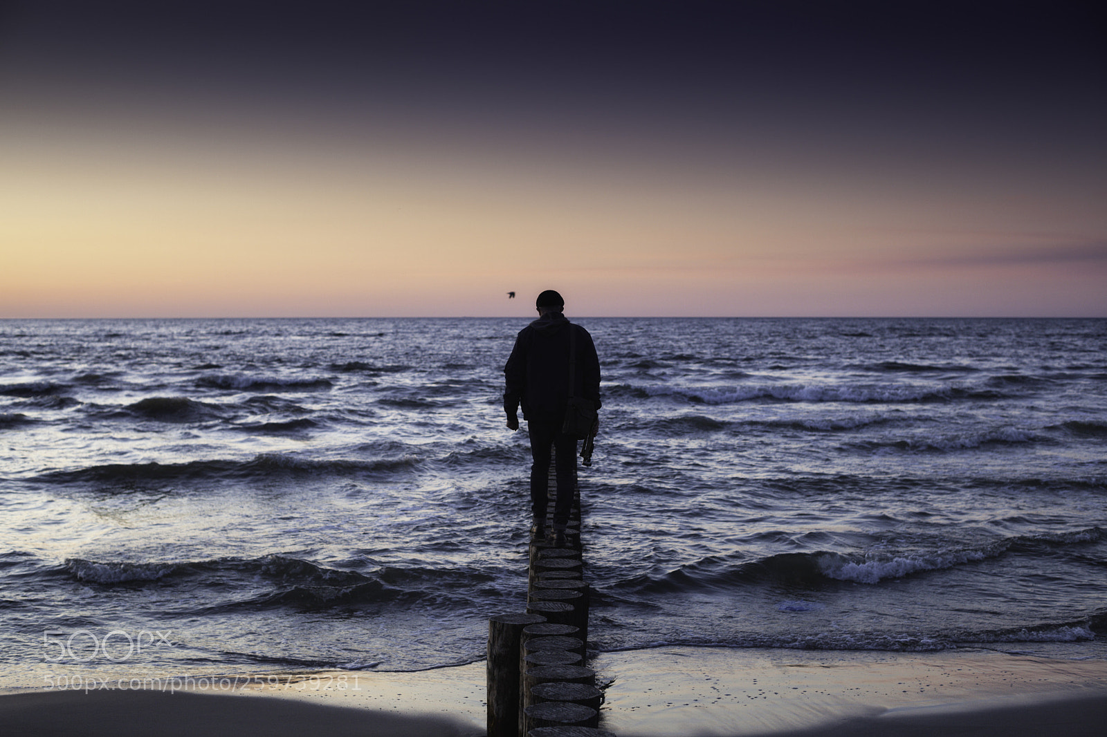 Canon EOS 5D Mark II sample photo. Into the baltic sea photography