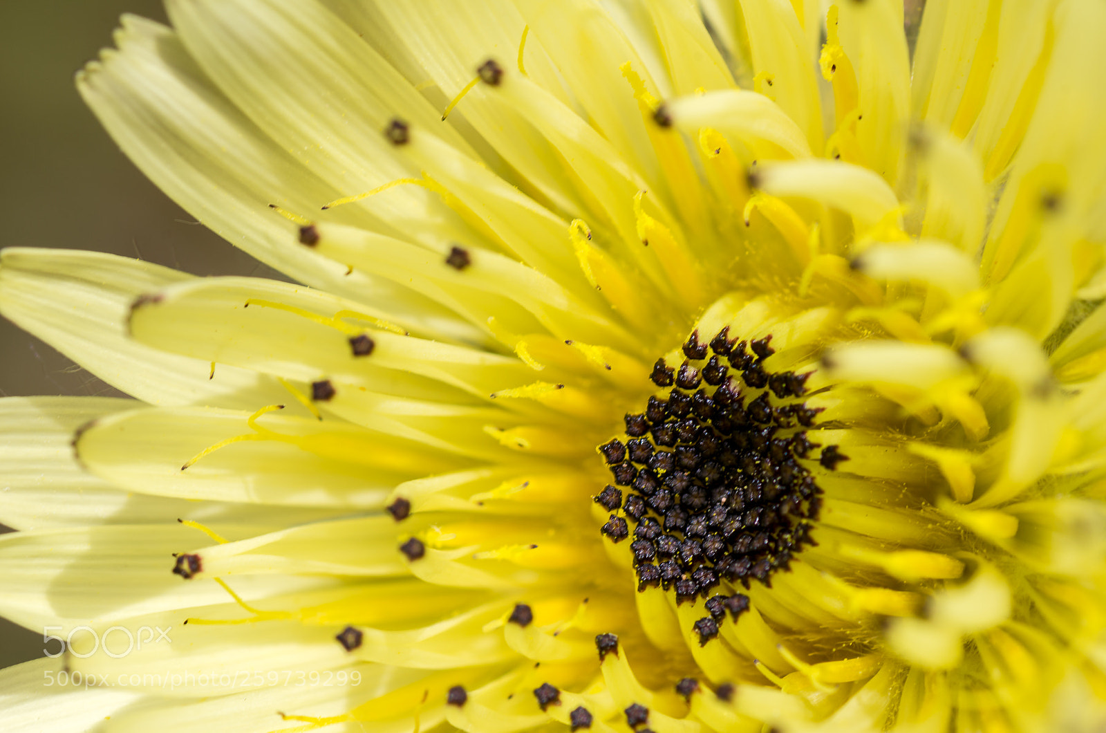 Pentax K-5 sample photo. Untitled photography