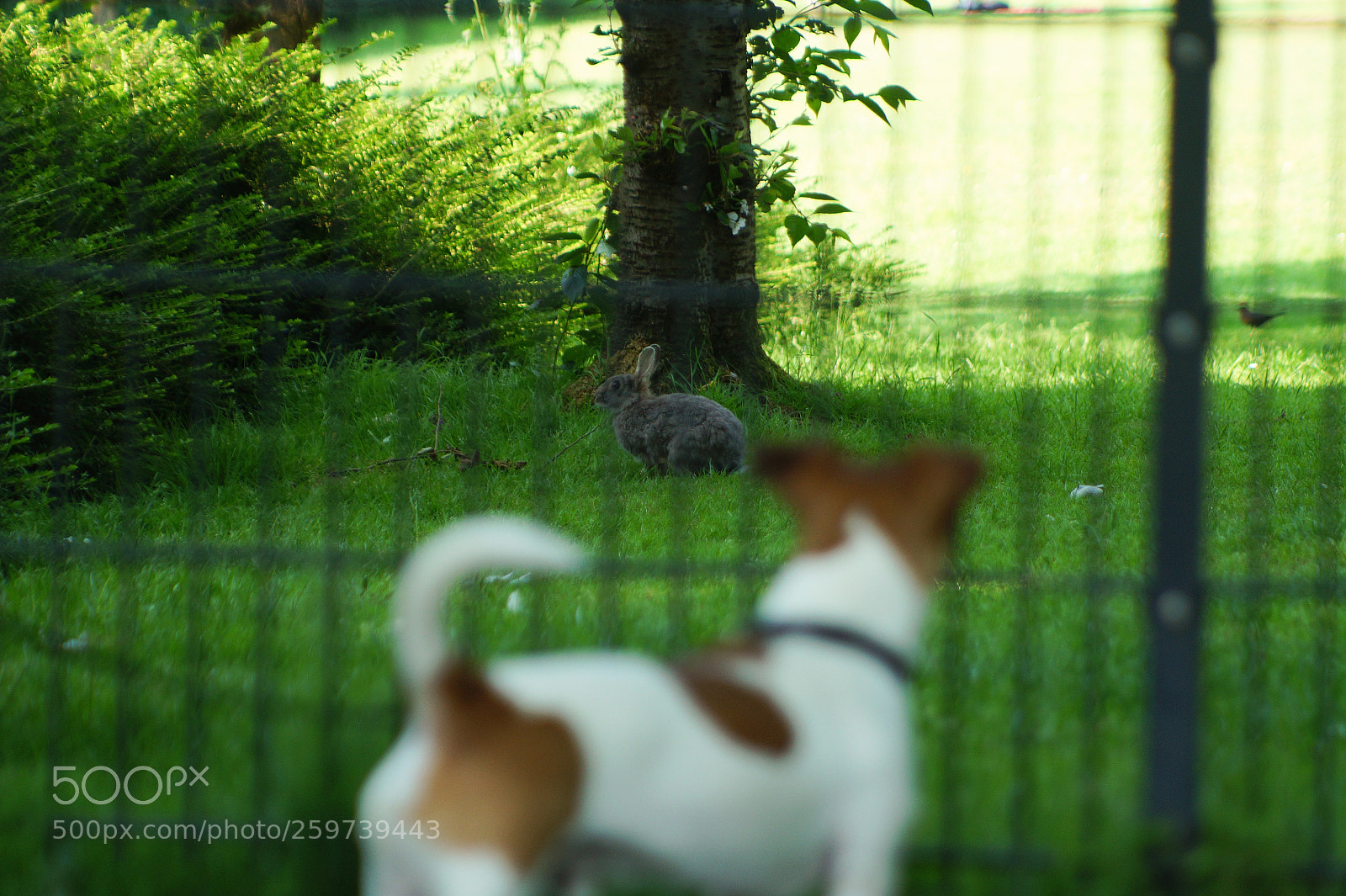 Sony SLT-A58 sample photo. Dsc photography