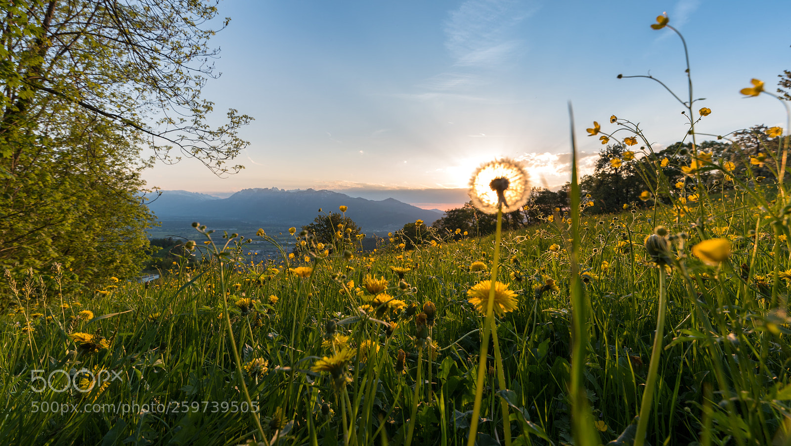 Nikon D750 sample photo. Pustekuchen photography