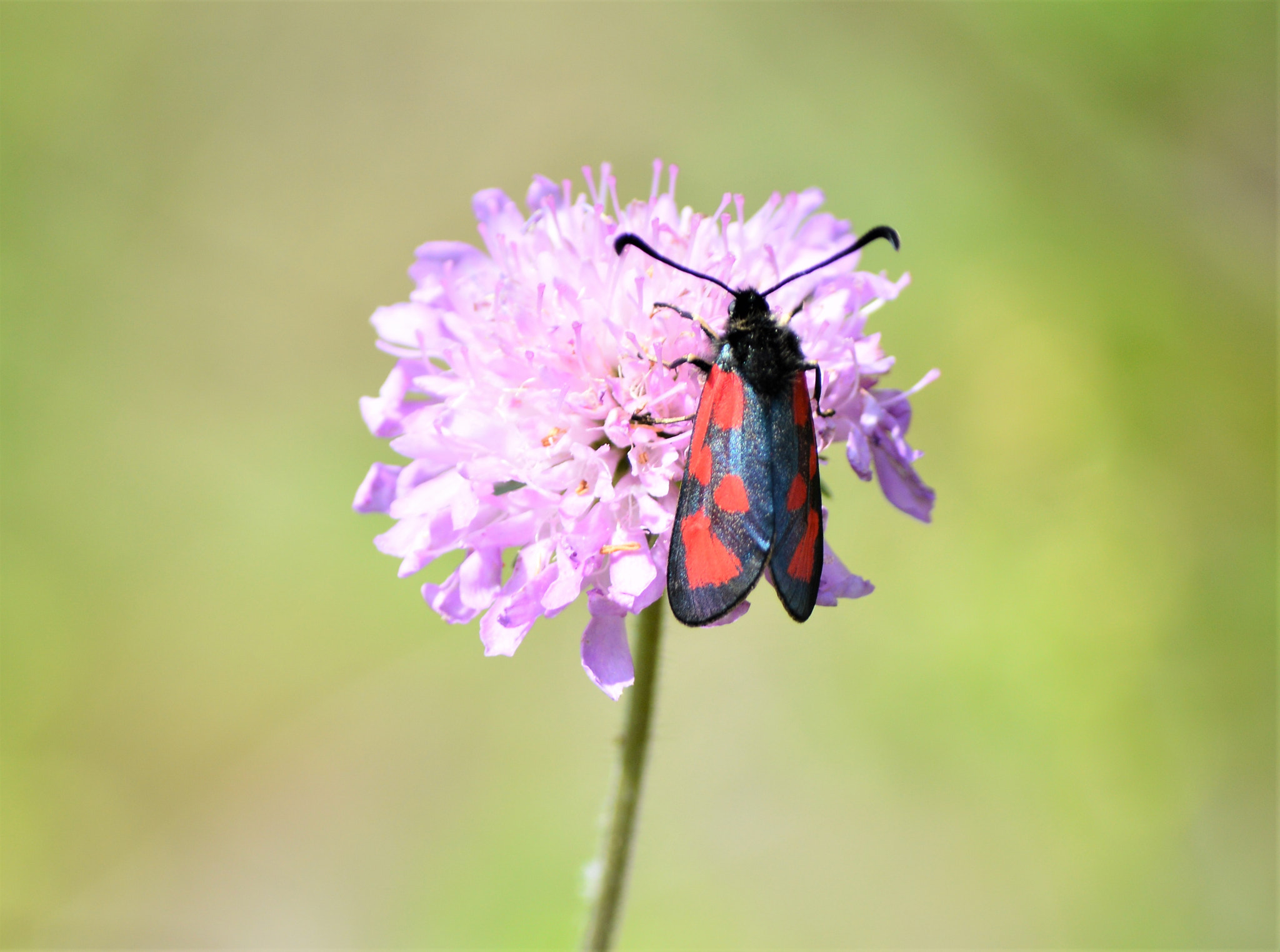 Nikon D3200 sample photo