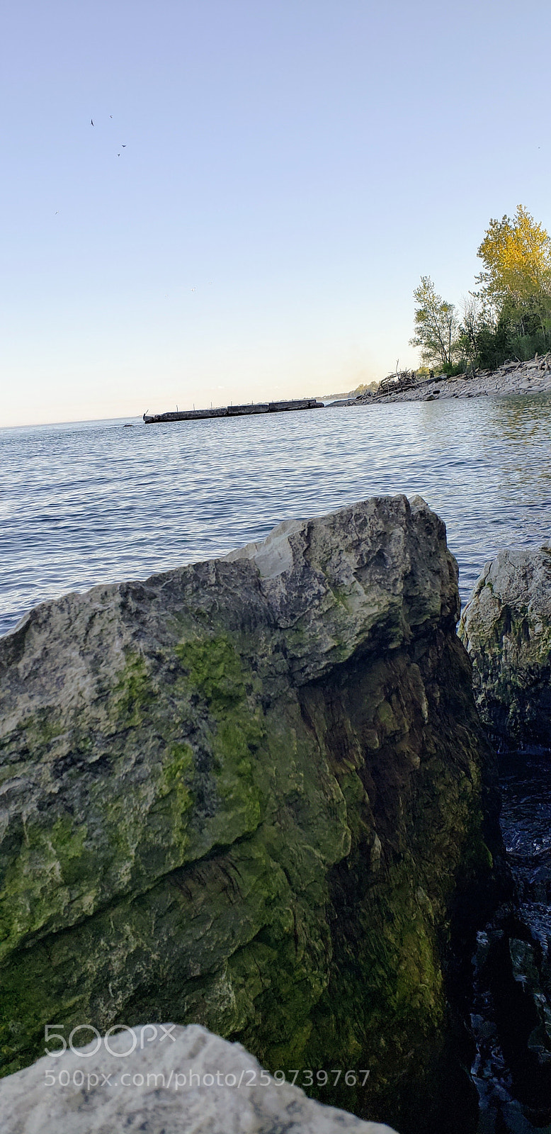 Samsung Galaxy S9 sample photo. It's a rock! photography