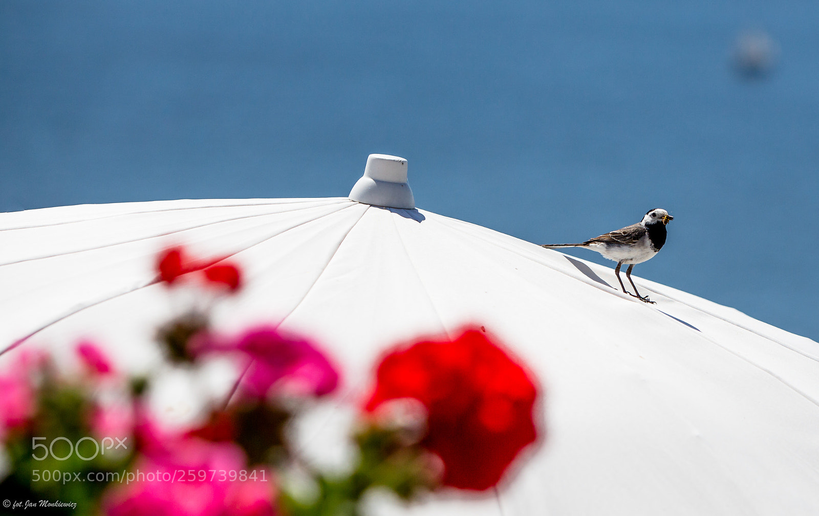Canon EOS 6D sample photo. Untitled photography