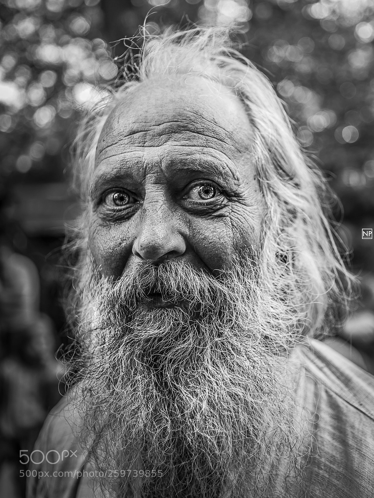 Canon EOS 6D Mark II sample photo. Soulfulness photography