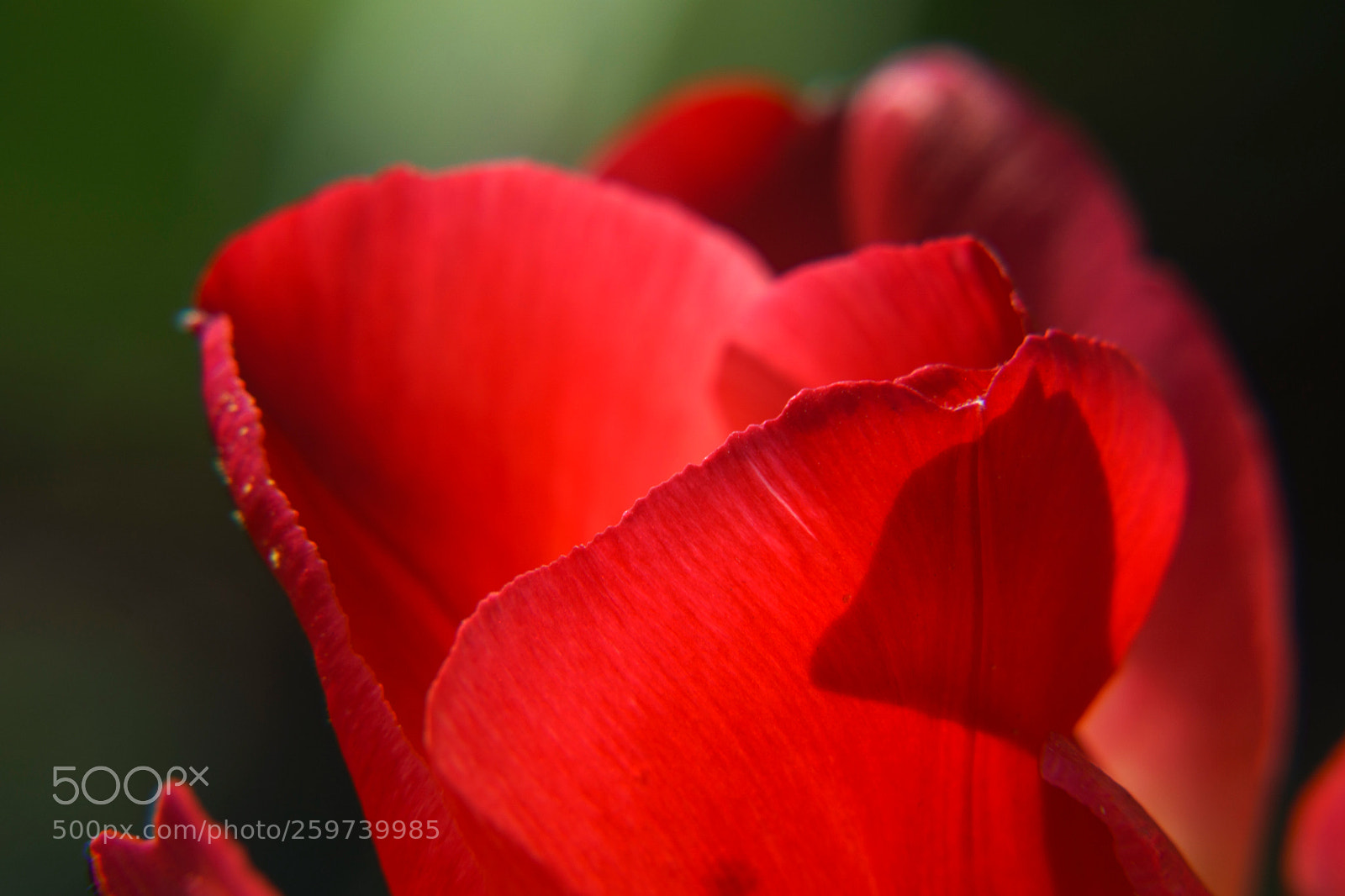 Sony a6000 sample photo. Dsc photography