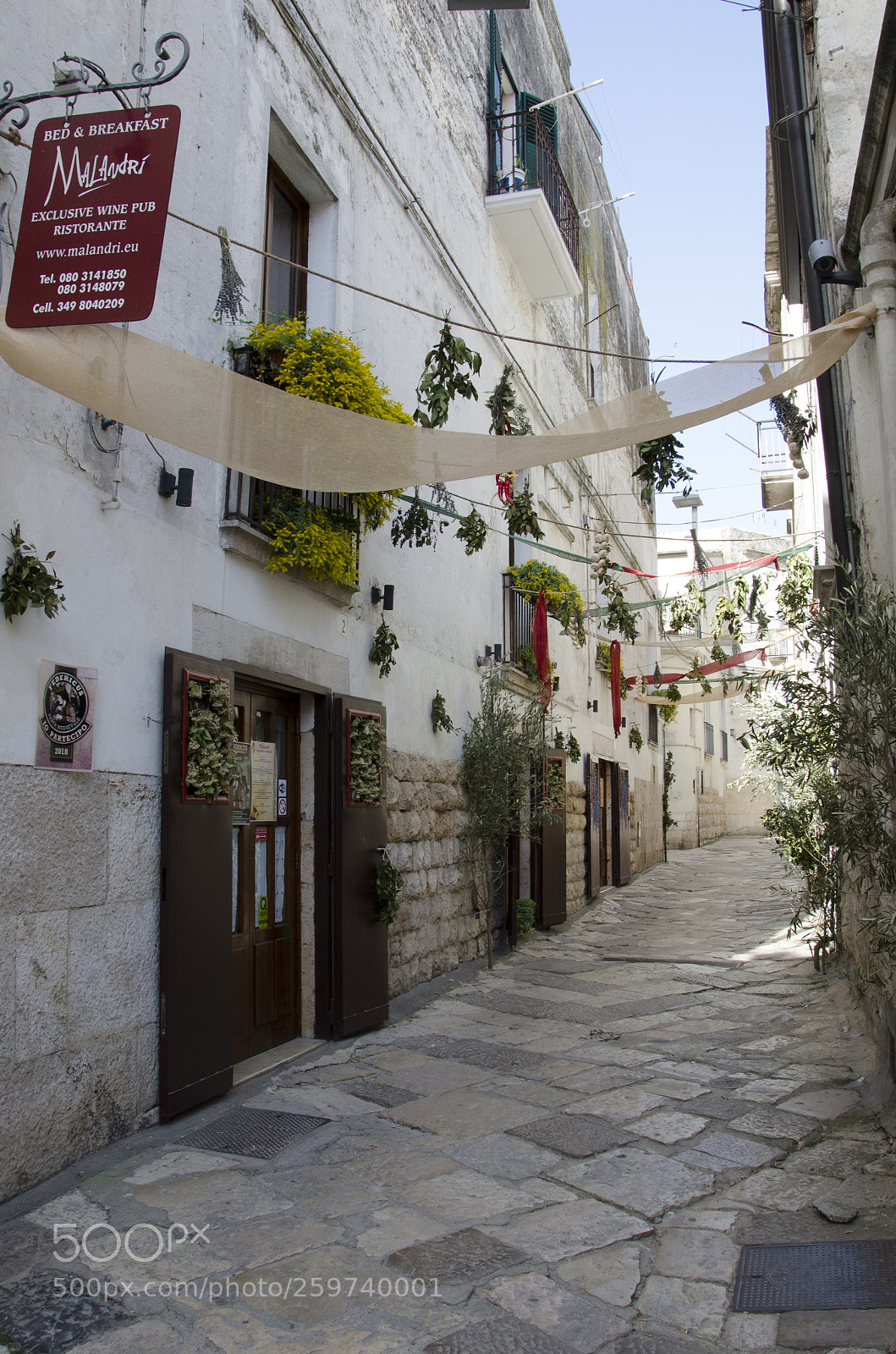 Nikon D7000 sample photo. Altamura's alley photography