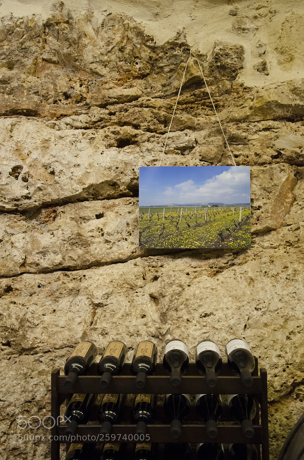 Nikon D7000 sample photo. Wine cellar photography