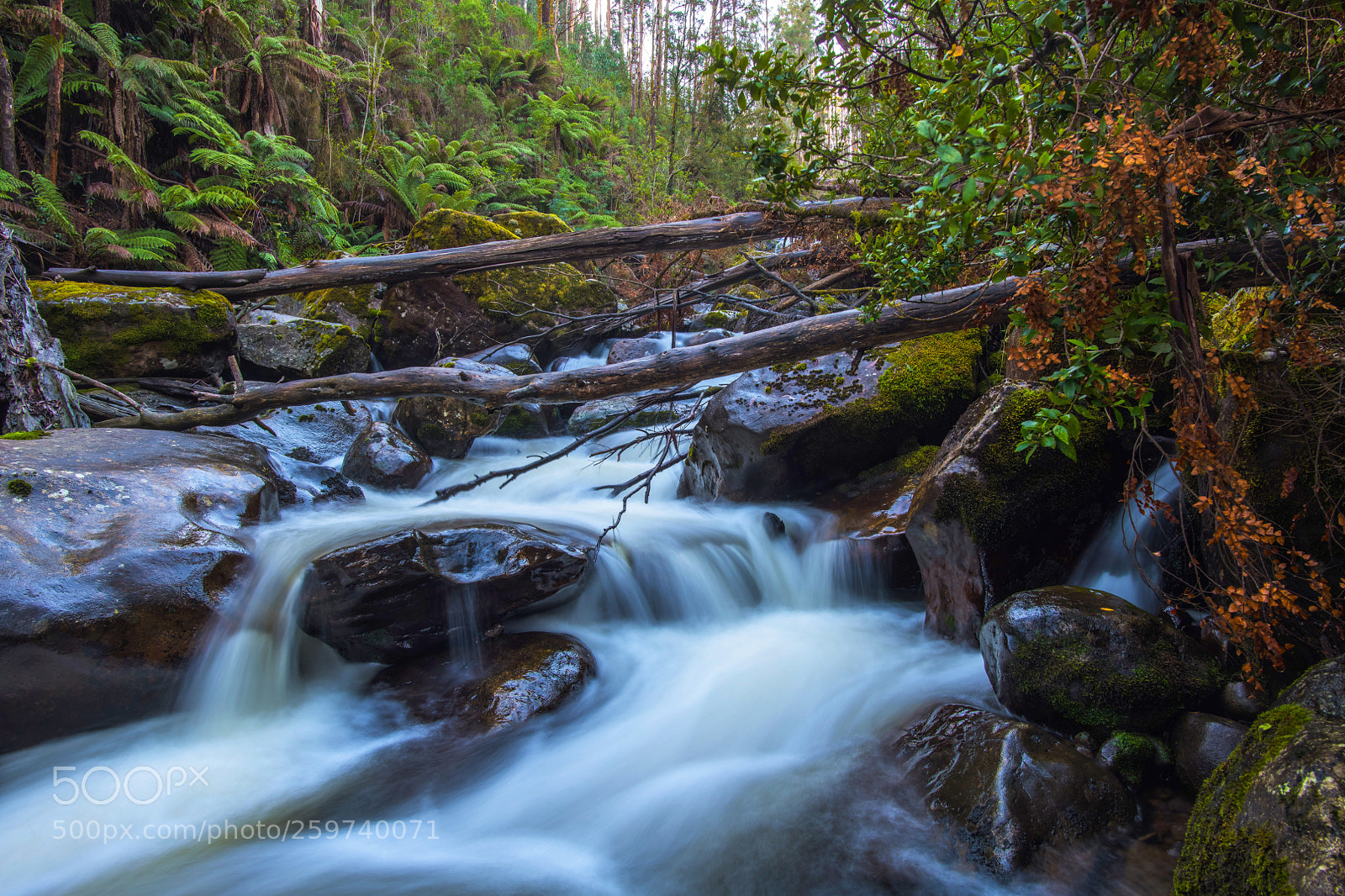 Nikon D850 sample photo. Keppel falls photography