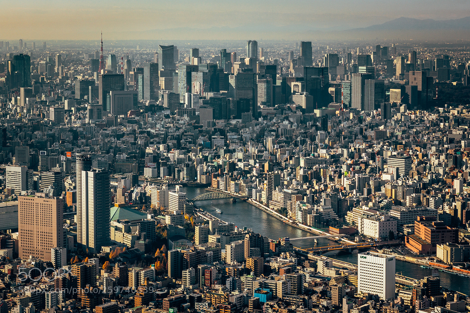 Canon EOS 60D sample photo. The city that never photography