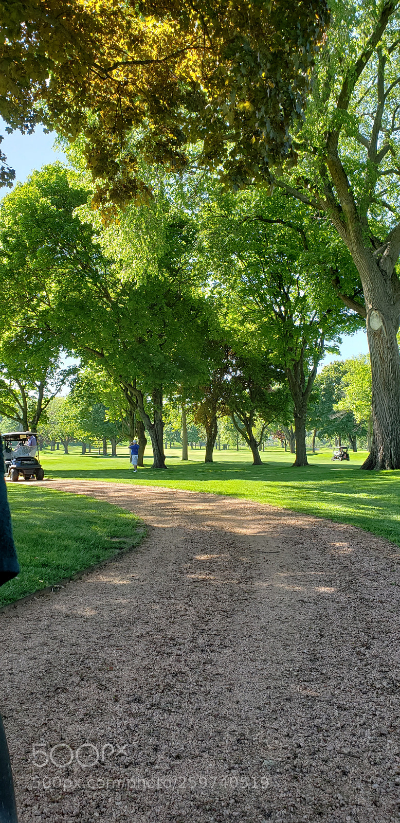 Samsung Galaxy S9 sample photo. Golf carting around photography
