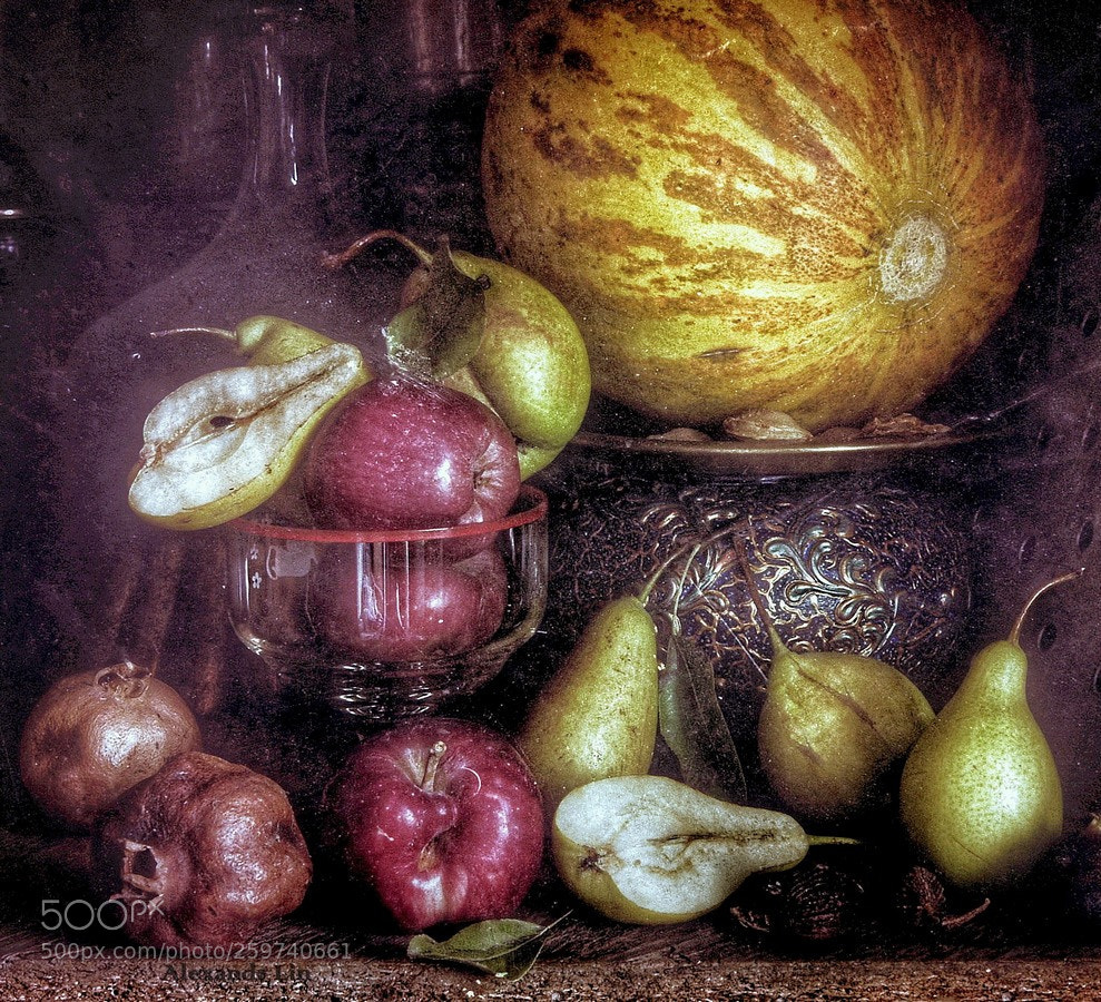 Nikon D80 sample photo. Dh photography