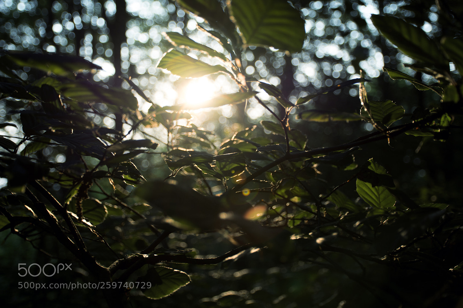 Nikon D7100 sample photo. Sunrise photography