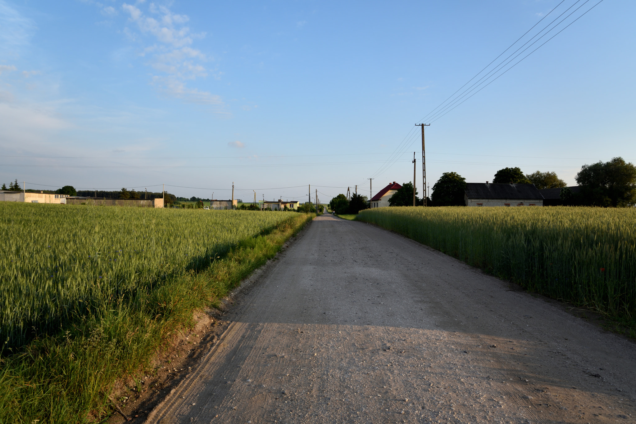Nikon D750 sample photo. Saturday evening photography