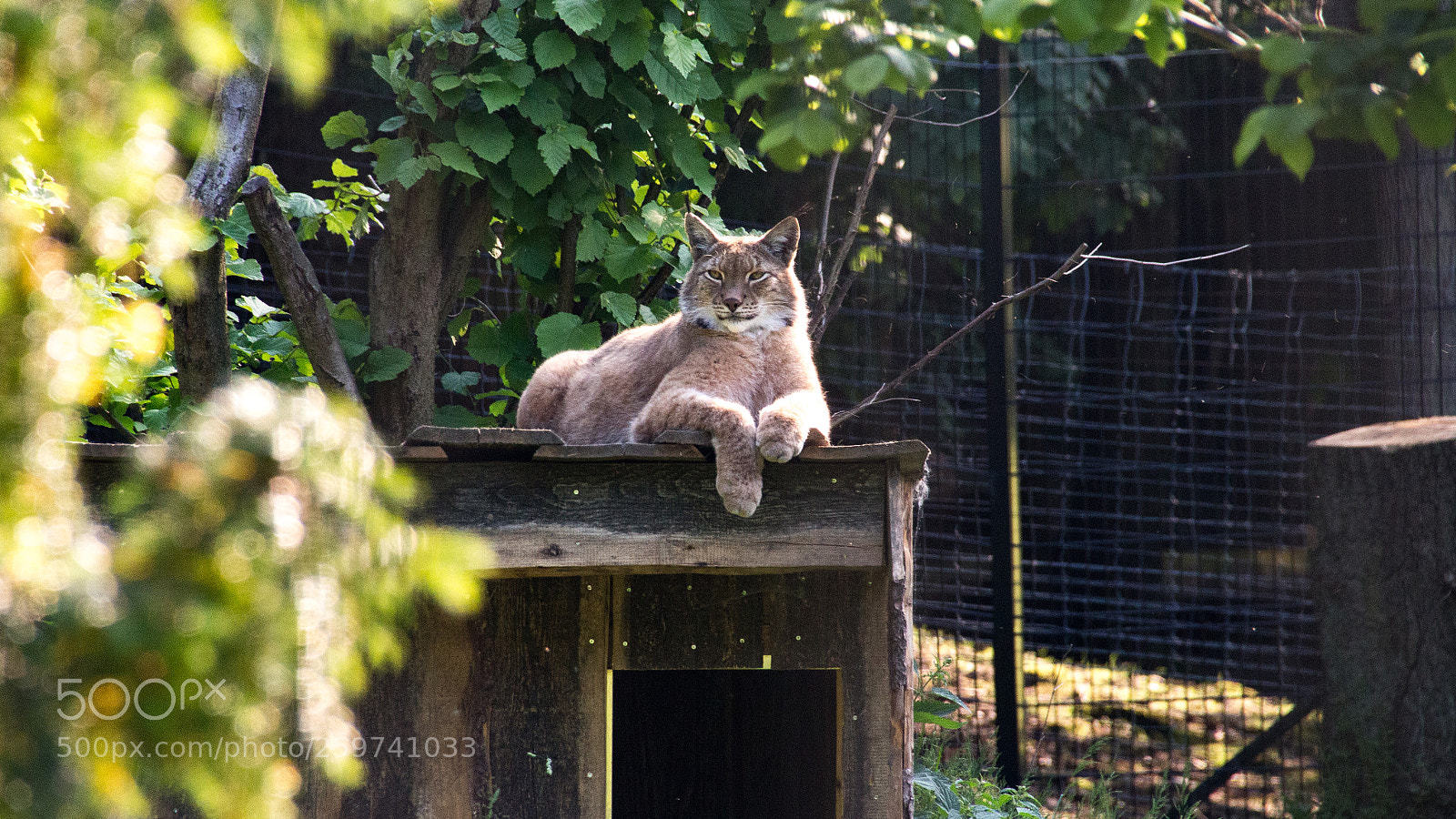 Canon EOS 650D (EOS Rebel T4i / EOS Kiss X6i) sample photo. Sunbath photography