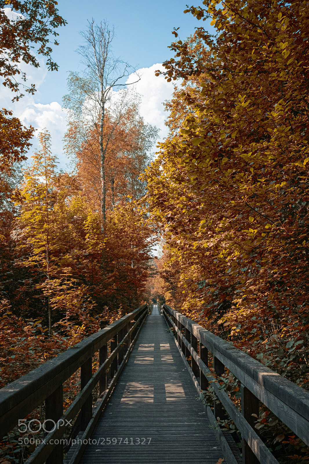 Fujifilm X-T20 sample photo. Łańsk photography