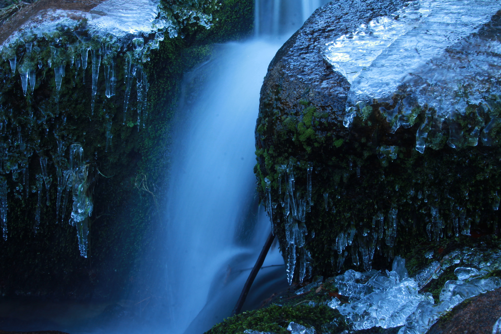 Sigma 18-250mm F3.5-6.3 DC OS HSM sample photo. Ice photography