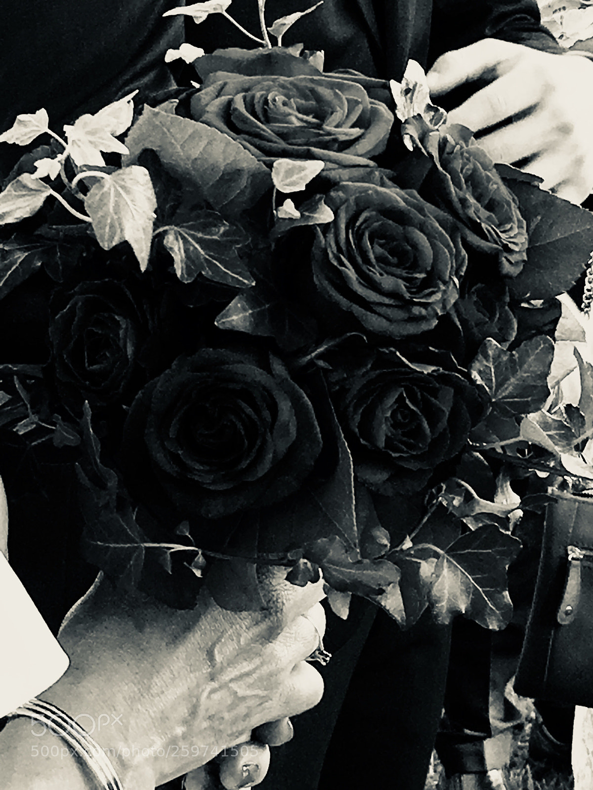 Apple iPhone 6s sample photo. Untitled photography