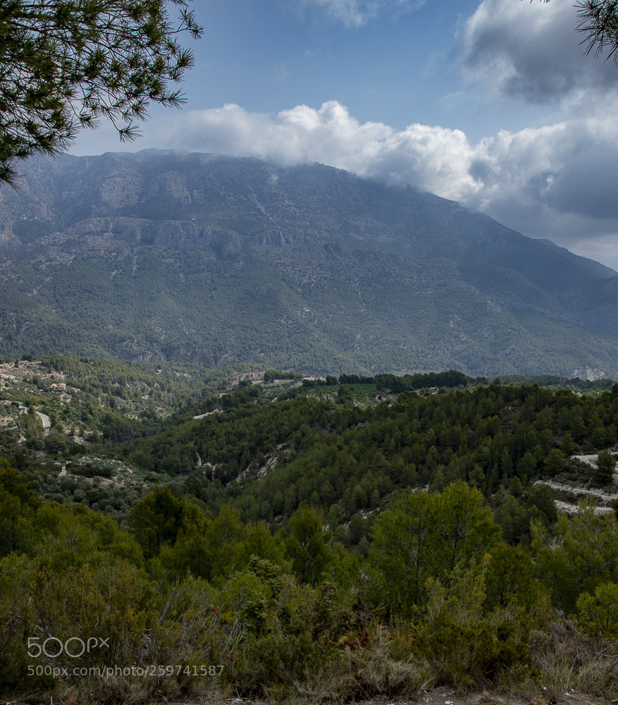 Canon EOS 6D Mark II sample photo. View photography