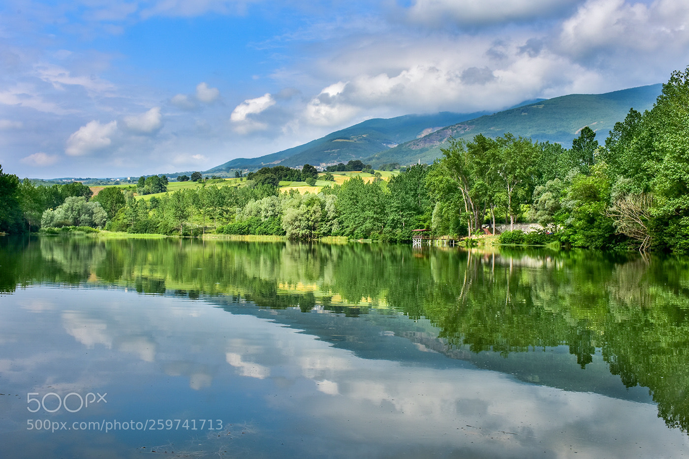 Nikon D7200 sample photo. 29.05.2018 - 3 photography