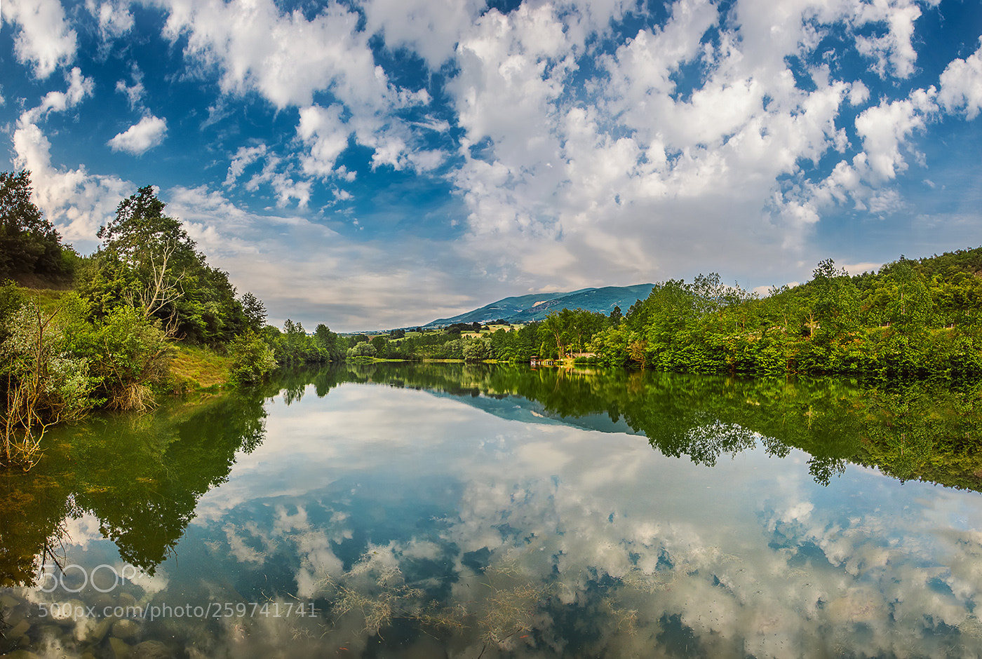 Nikon D7200 sample photo. 29.05.2018 - 11 photography