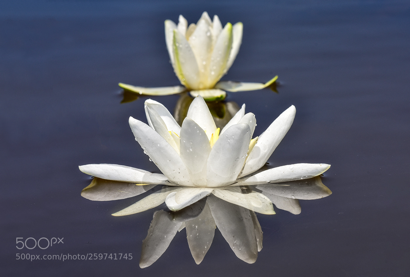 Nikon D7200 sample photo. 29.05.2018 - 9 photography