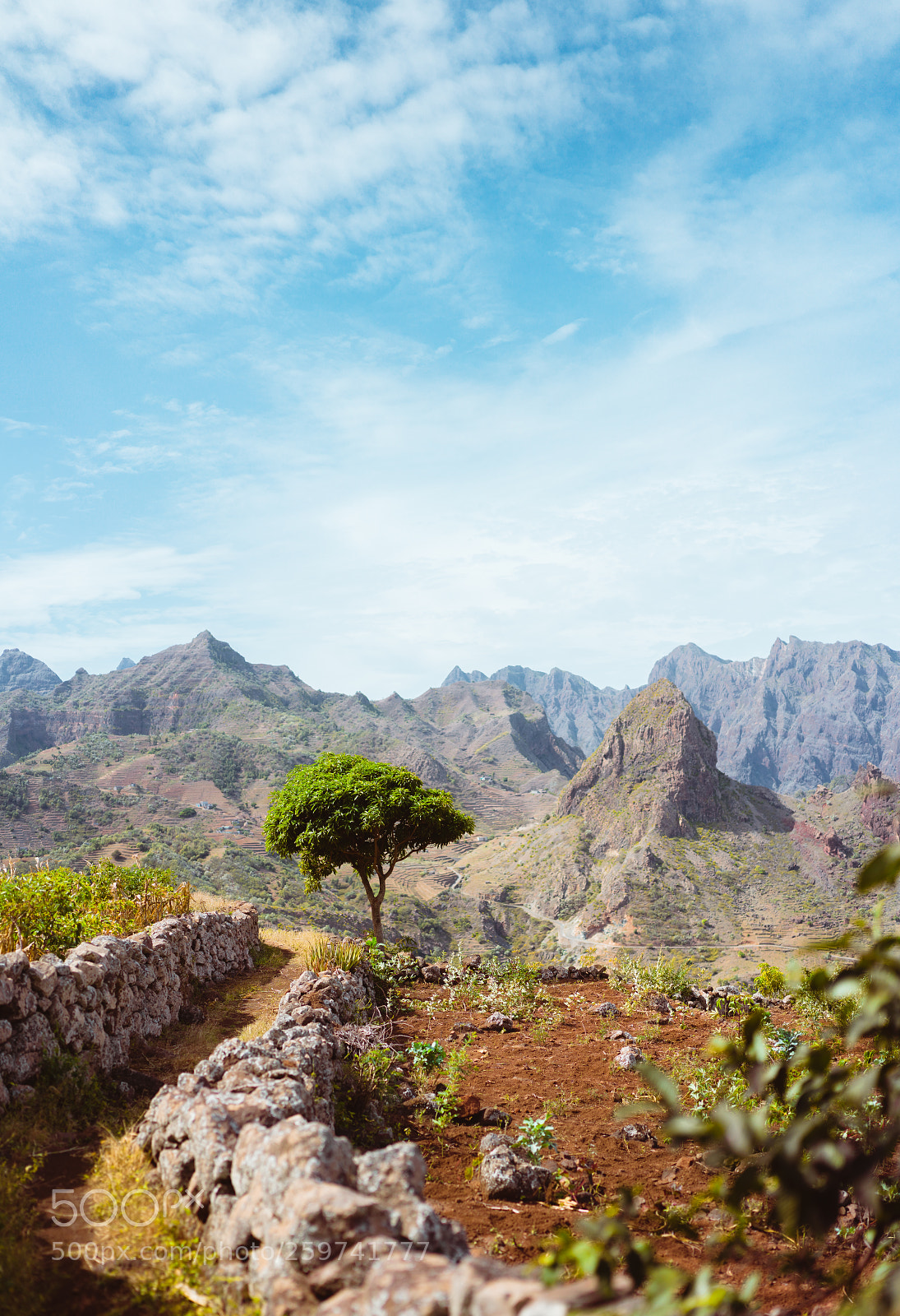 Sony a7 II sample photo. Hiking trail leading through photography