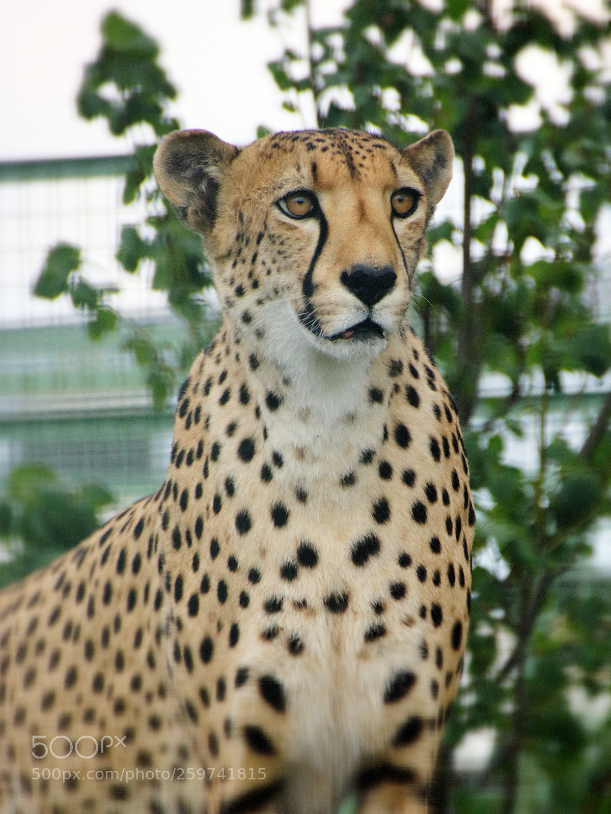 Canon EOS 77D (EOS 9000D / EOS 770D) sample photo. Img photography