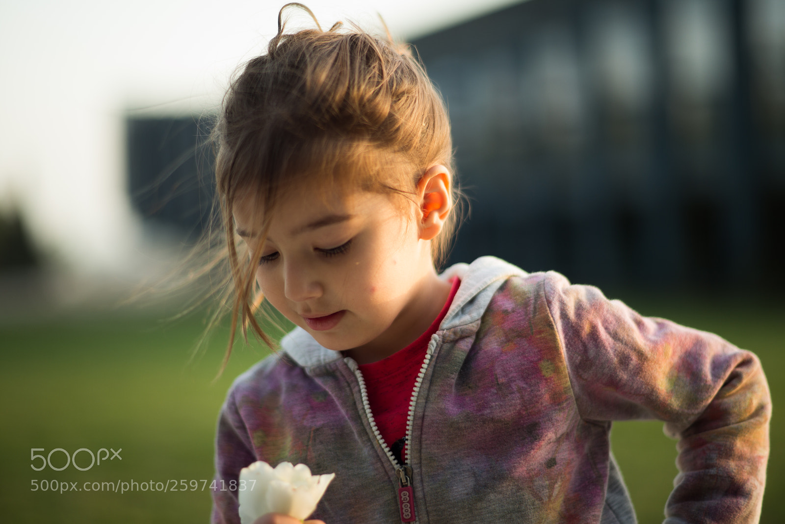 Leica M (Typ 240) sample photo. Light and magic... photography