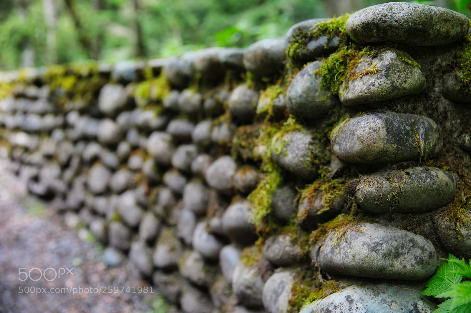 Canon EF 24-70mm F2.8L II USM sample photo. Stone wall photography