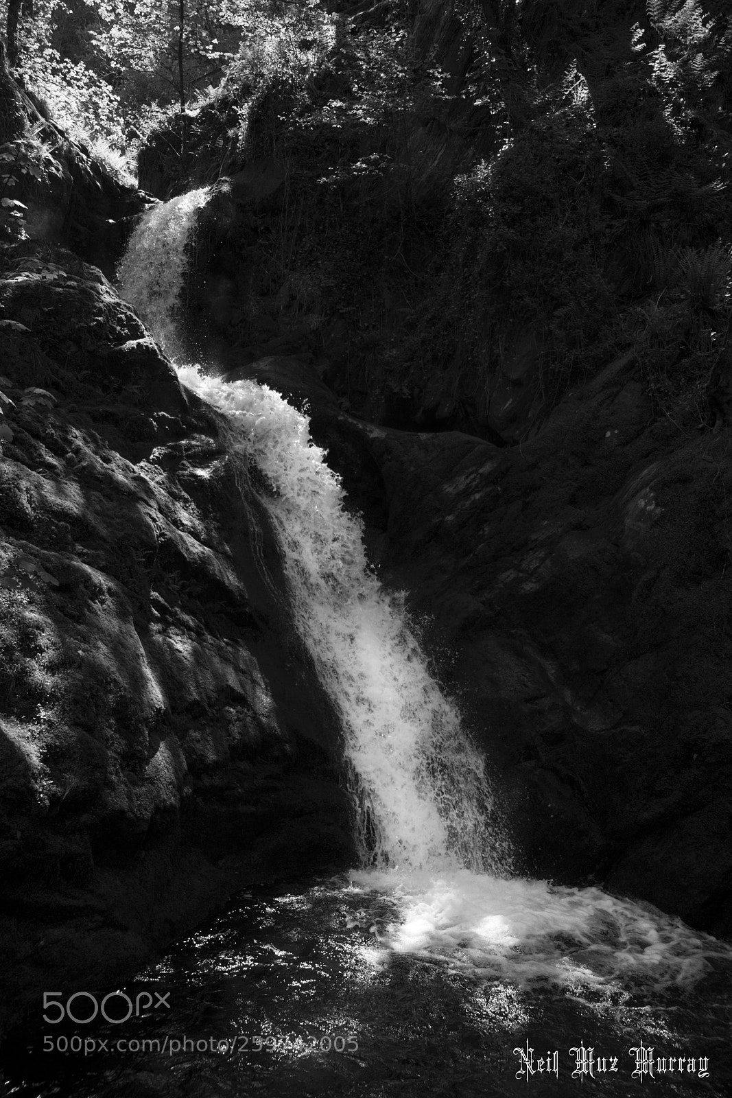 Fujifilm X-T2 sample photo. Dolgoch #01 photography