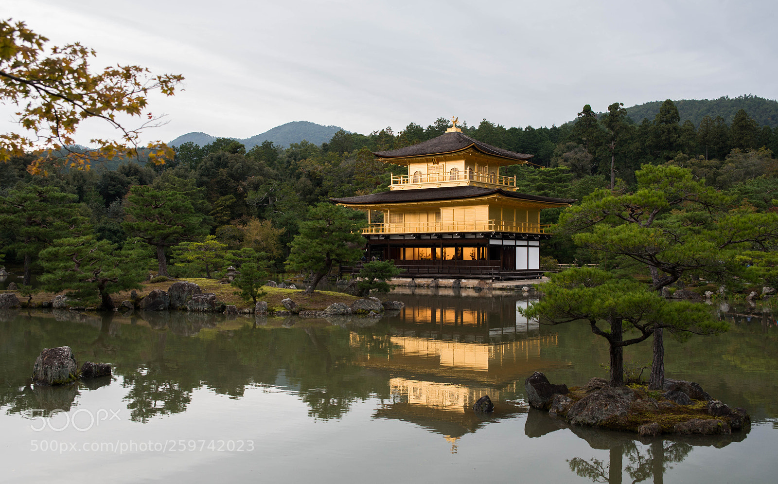 Nikon D610 sample photo. Golden temple on a photography
