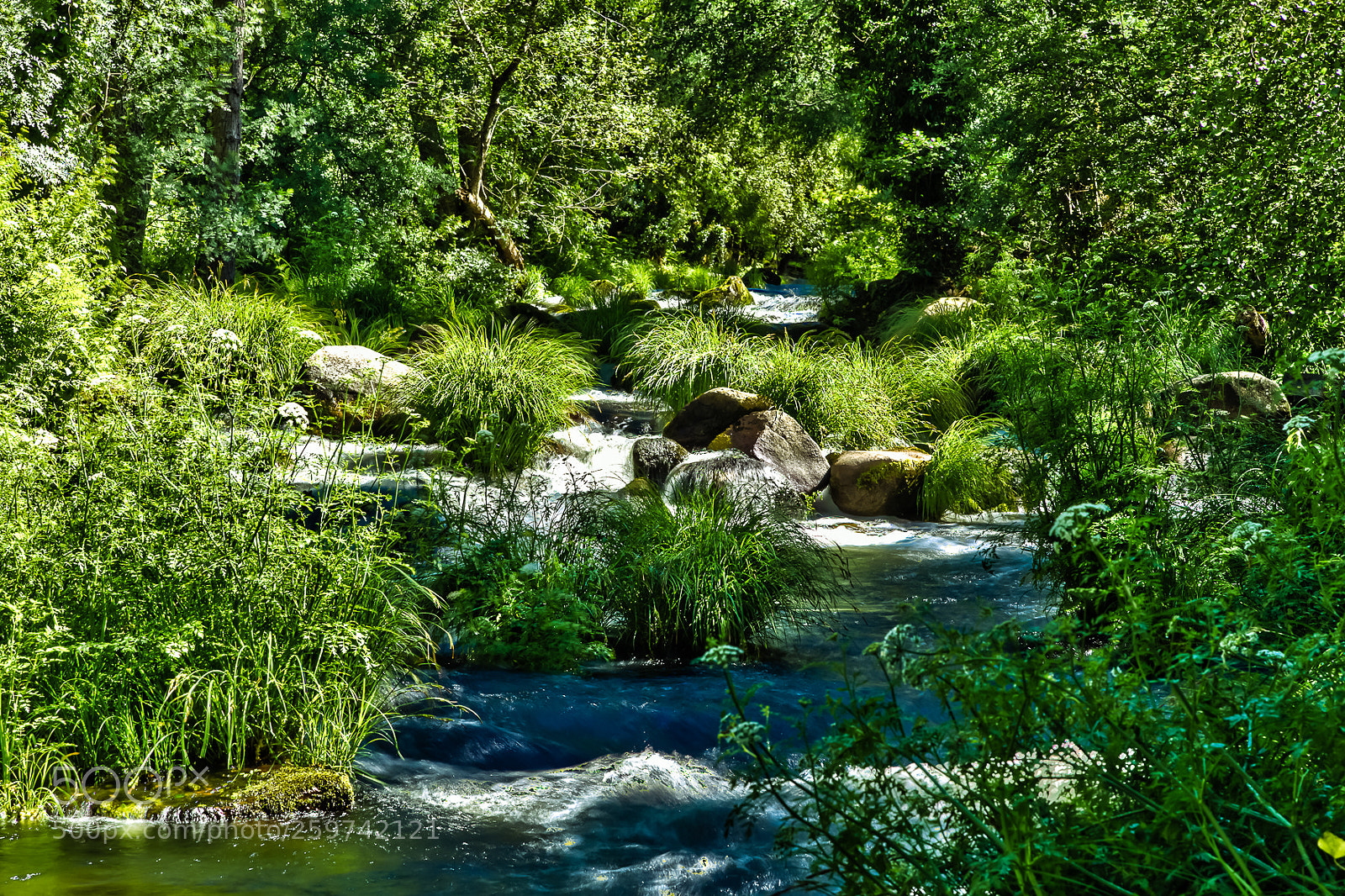 Canon EOS 6D sample photo. Rio de montaña photography