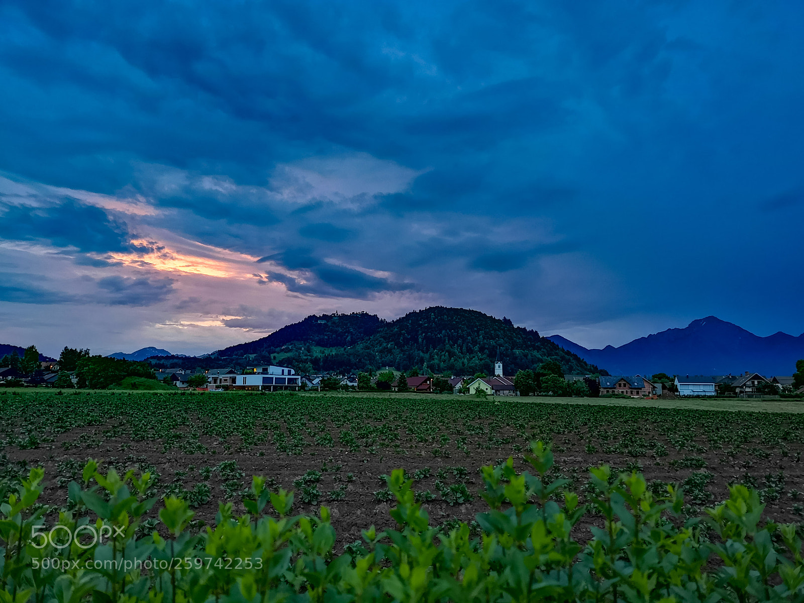 HUAWEI CLT-L29 sample photo. Afer the rain photography