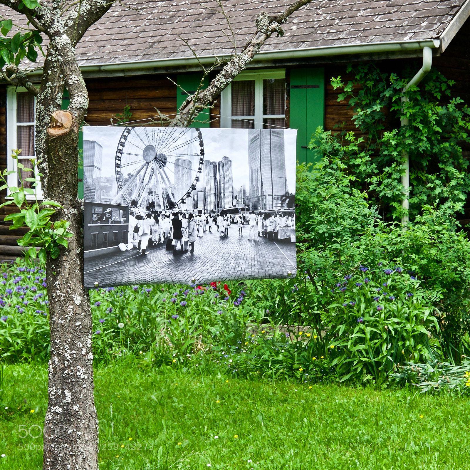 Fujifilm X-T10 sample photo. Hk in a garden photography