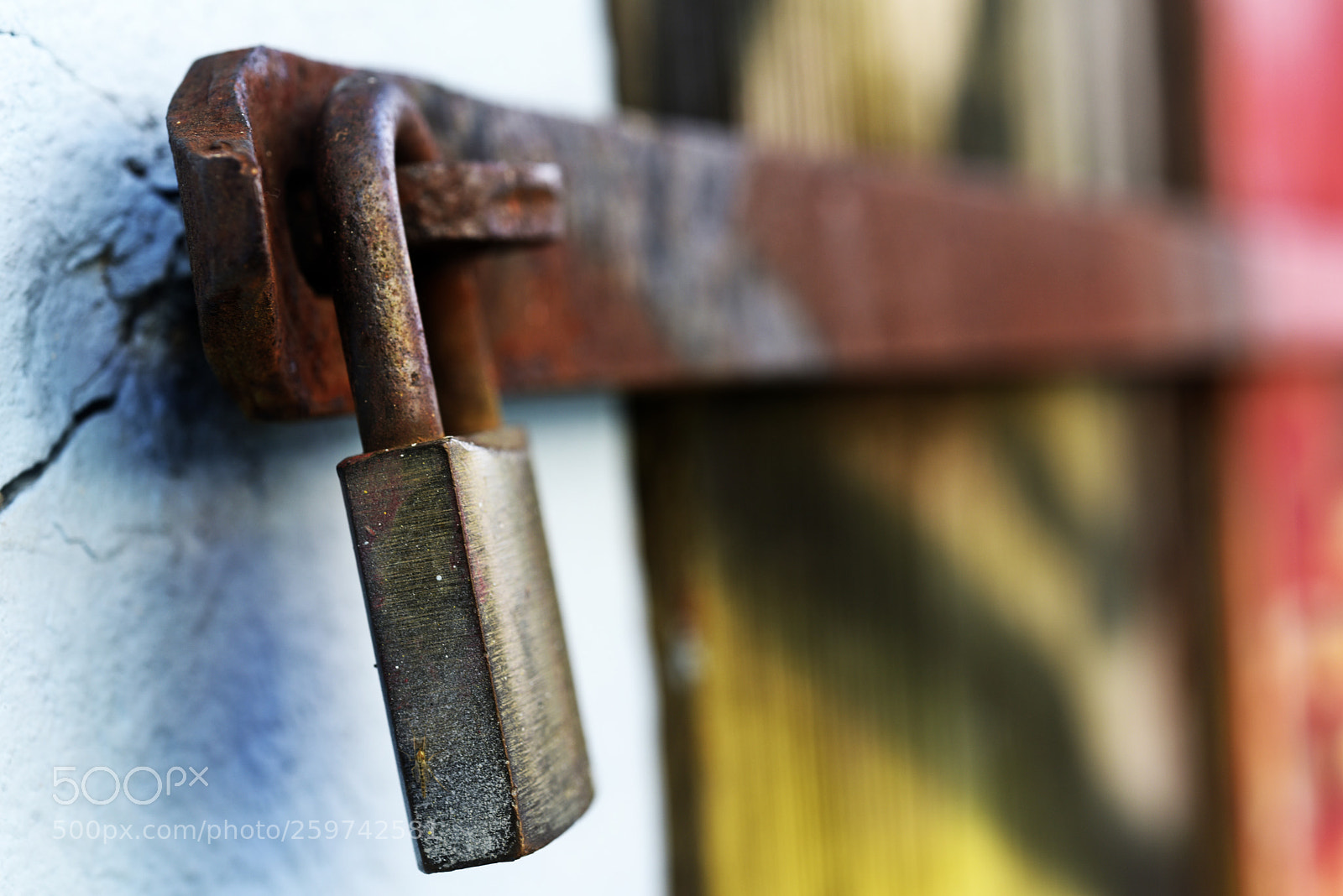 Nikon D810 sample photo. Cadenas photography