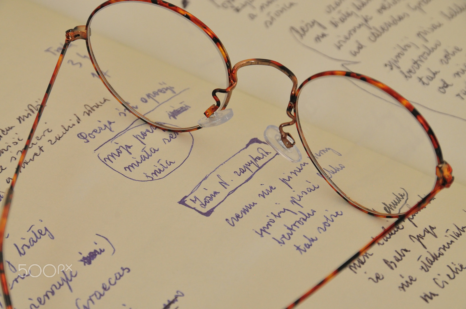 Nikon D300S sample photo. Glasses, handwriting book photography