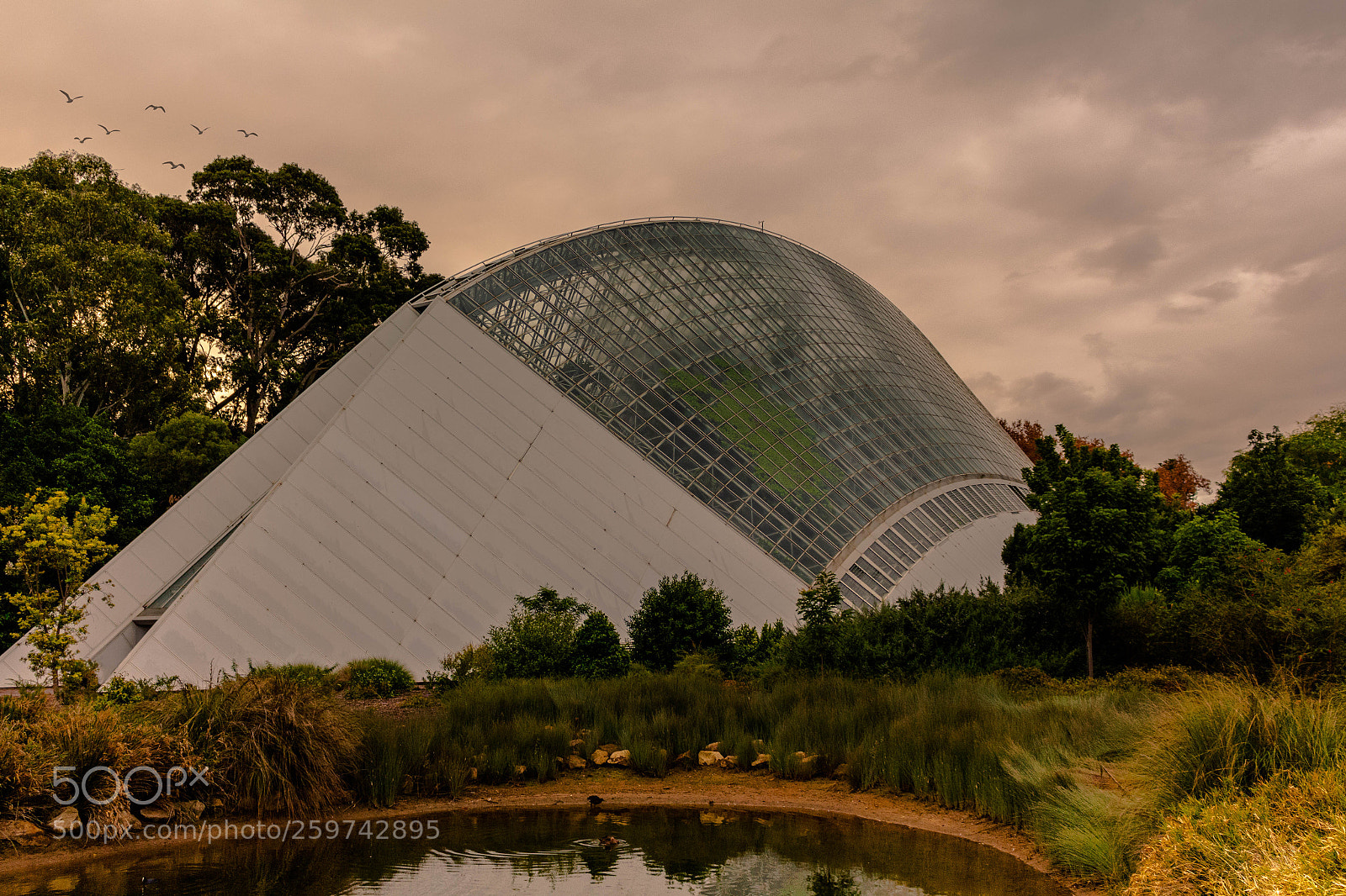 Canon EOS 700D (EOS Rebel T5i / EOS Kiss X7i) sample photo. Bicentennial conservatory photography