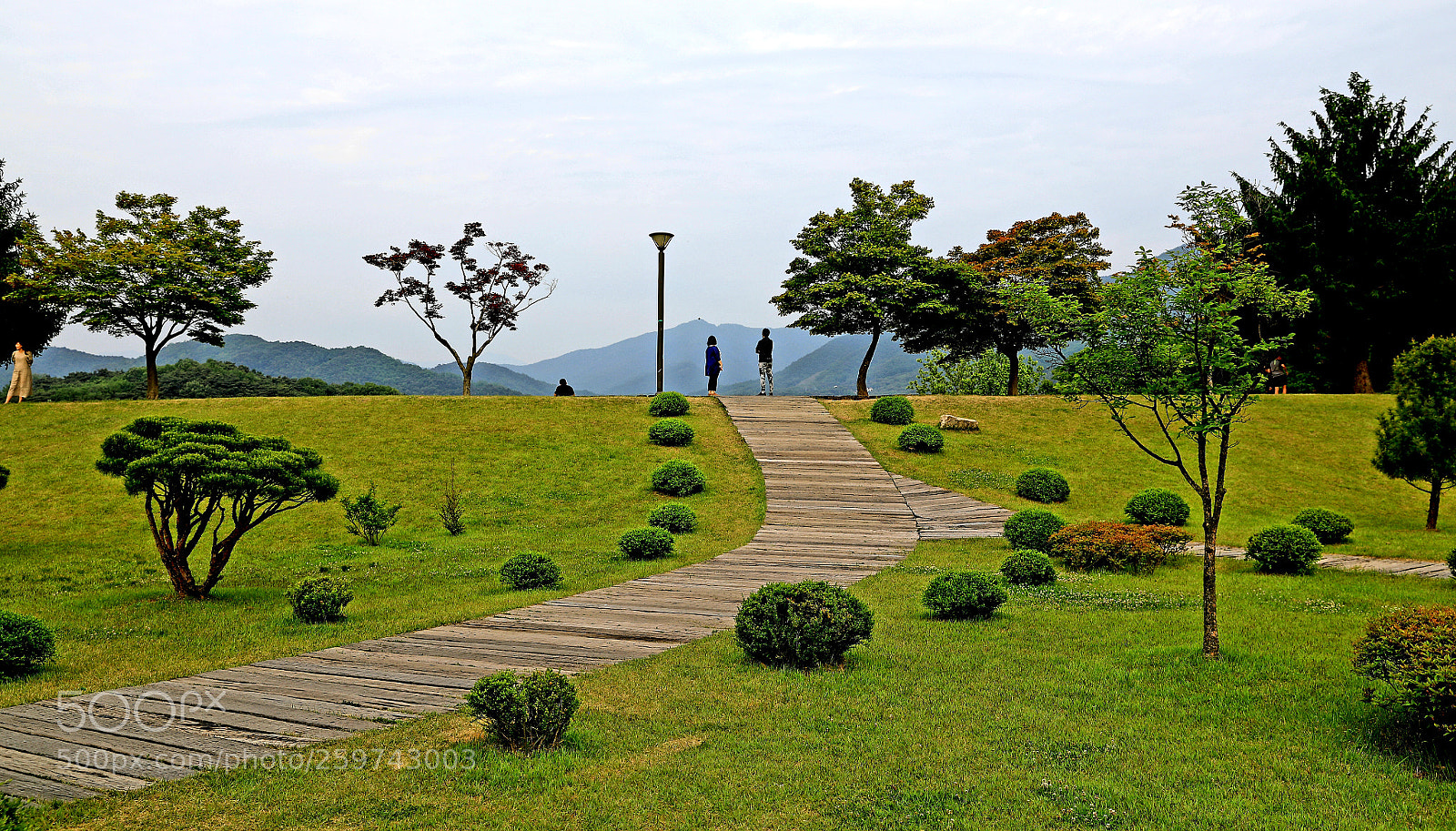 Canon EOS 5D Mark IV sample photo. Couple photography