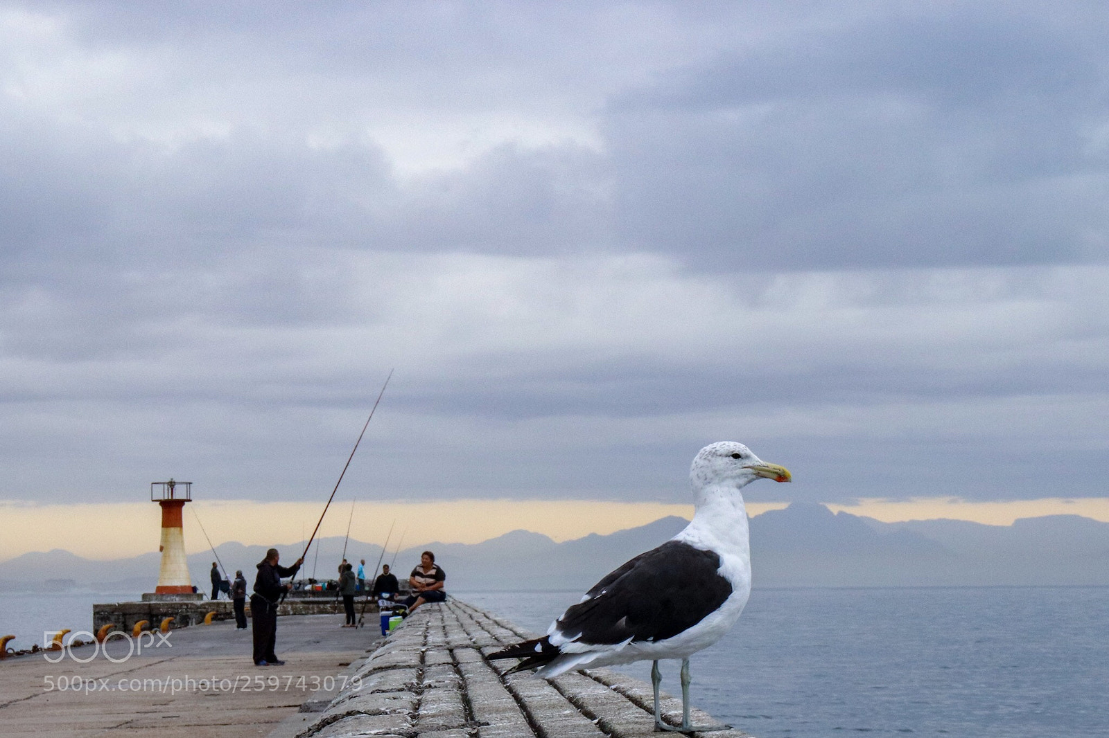 Canon EOS 77D (EOS 9000D / EOS 770D) sample photo. Fishing time  photography
