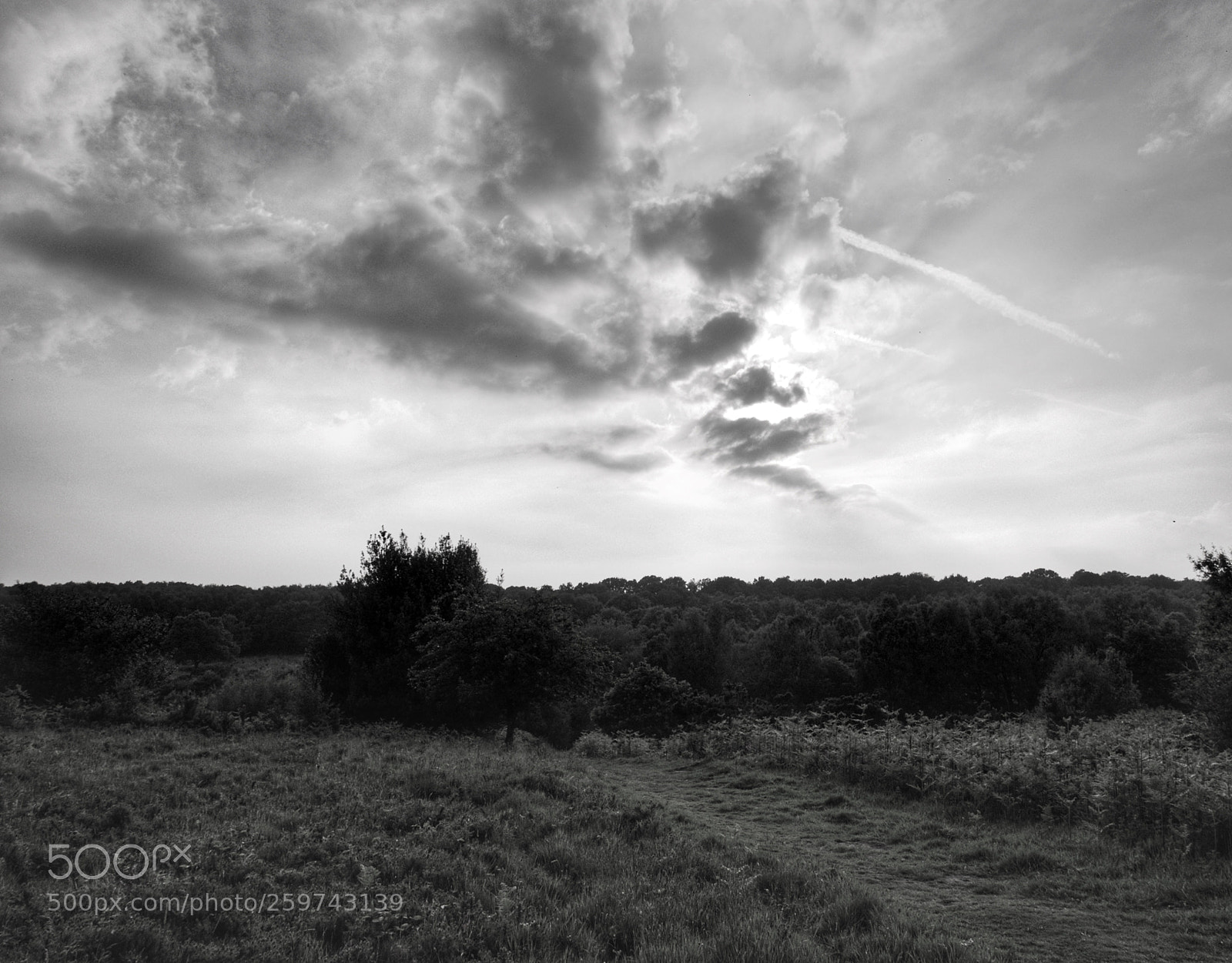 Panasonic Lumix DMC-LX100 sample photo. Coming storm photography