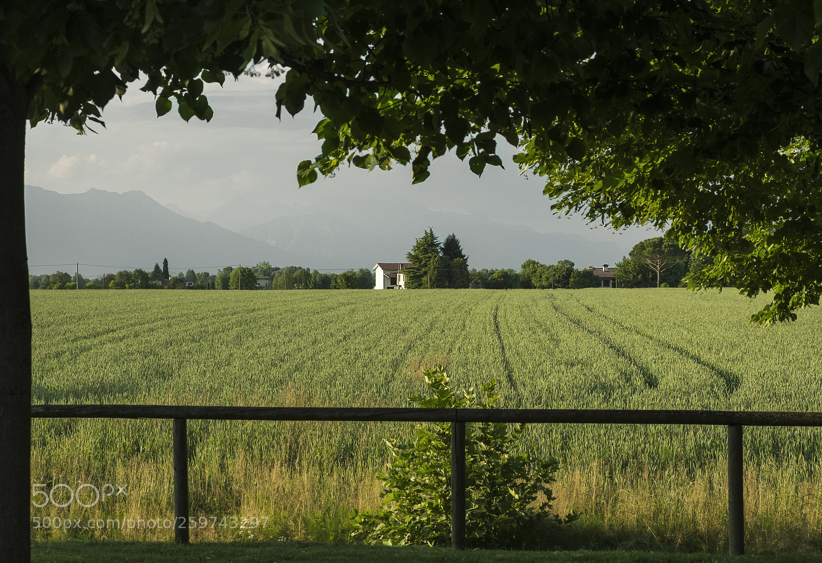 Fujifilm X-T2 sample photo. Untitled photography