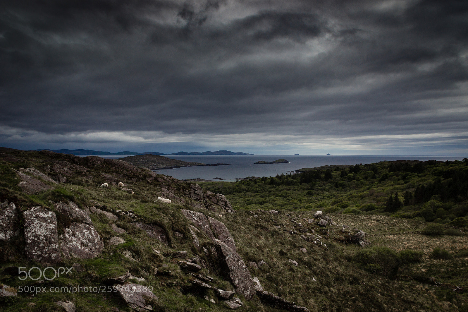 Canon EOS 600D (Rebel EOS T3i / EOS Kiss X5) sample photo. Ring of kerry photography