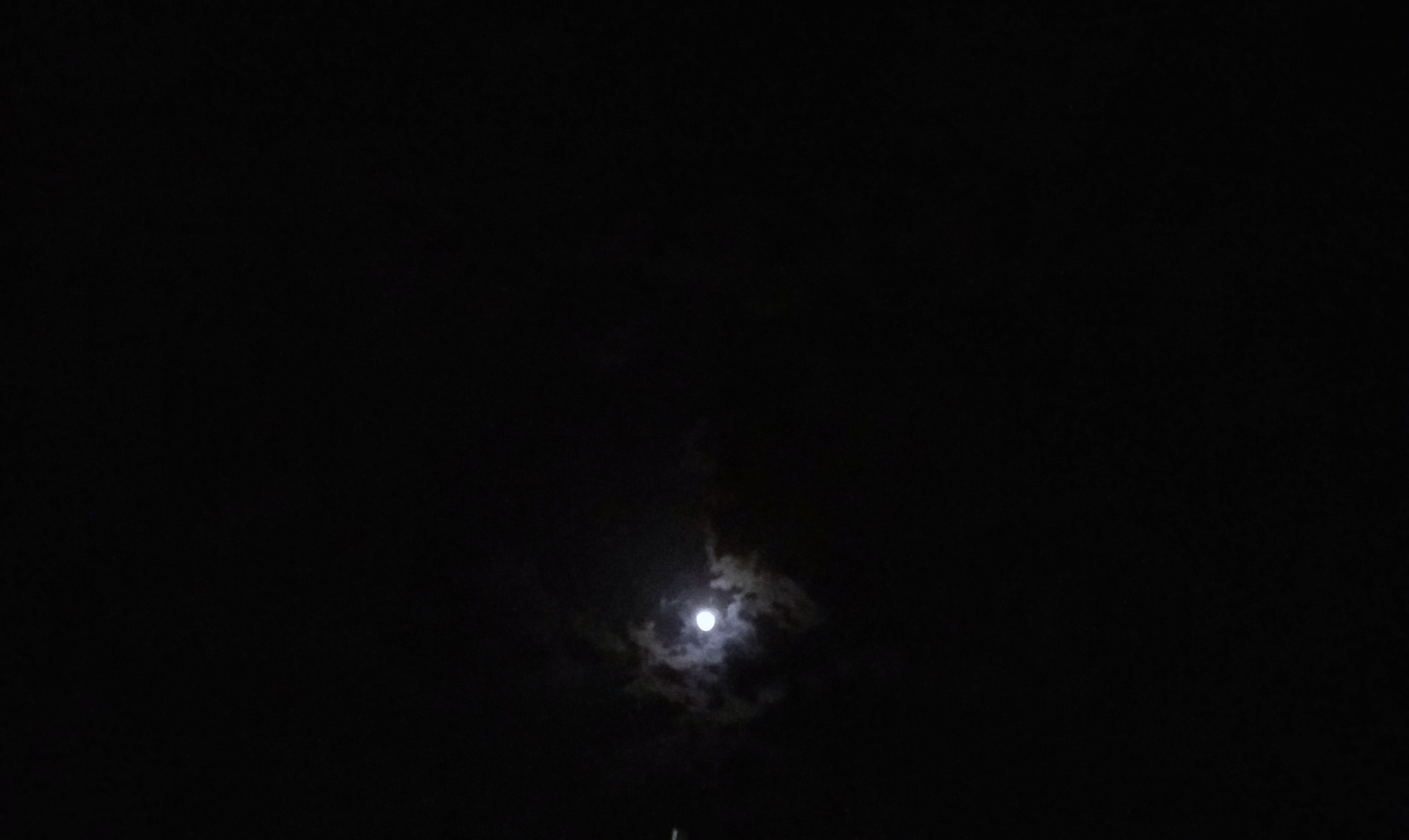 Samsung Galaxy E5 sample photo