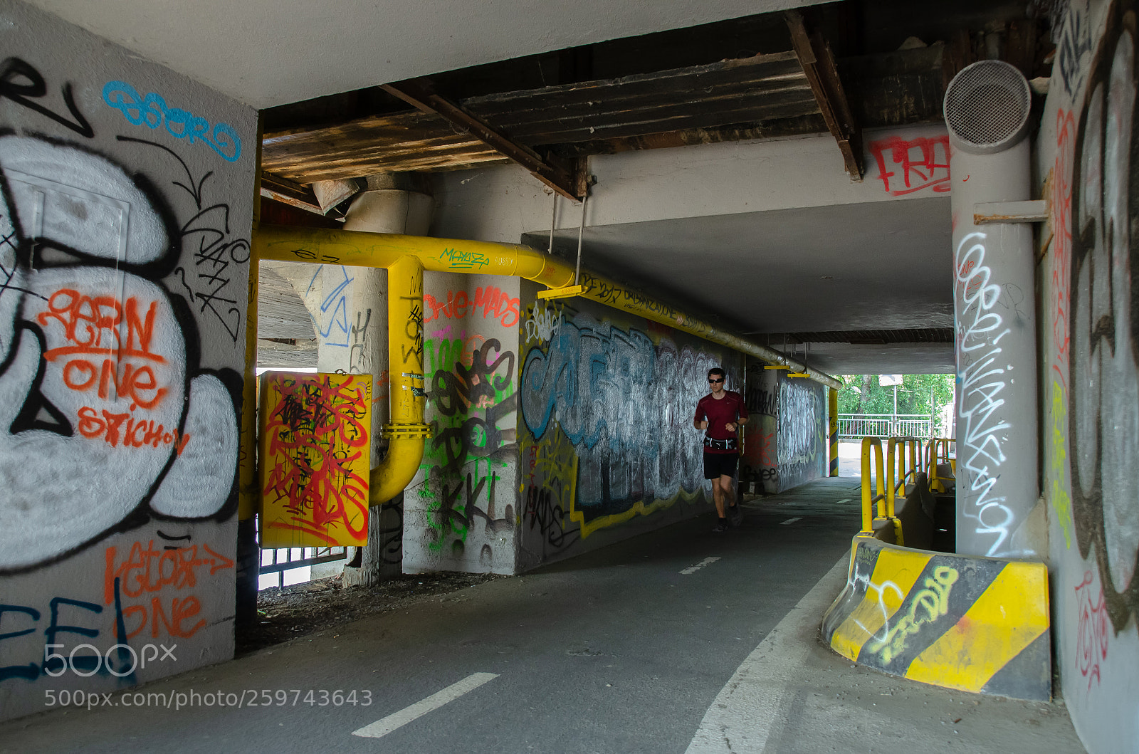 Nikon D7000 sample photo. The runer photography