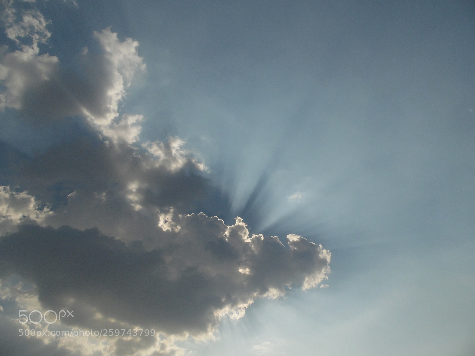 Samsung WB1100F/WB1101F/WB1102F sample photo. "majestuoso" photography