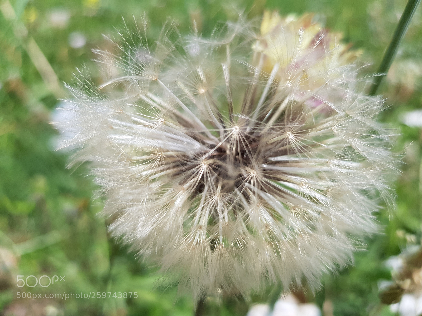 Samsung Galaxy S8 sample photo. Untitled photography